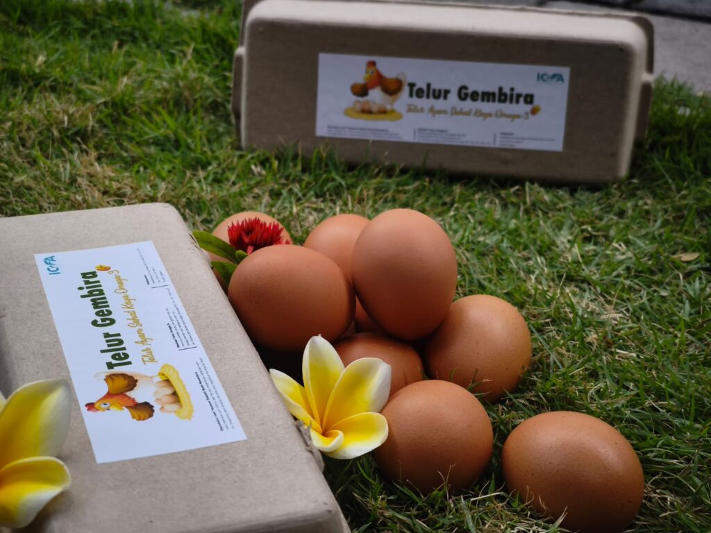 whatsapp image 2025 08 23 at 09.49.38 cfd48bdf