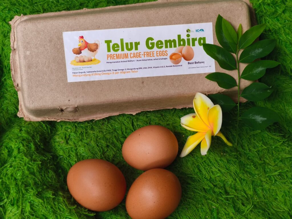 Rumah Hijau Bali — Eco Farming Center whatsapp image 2025 11 19 at 11.53.48 76cd3222